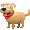 kleiner Hund